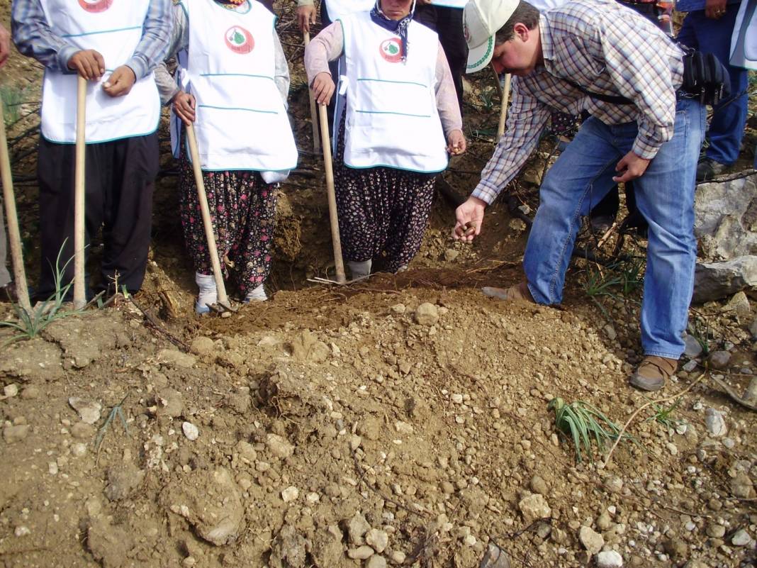 Antalya'da yanan ormanların son durumu yüzleri güldürdü 10