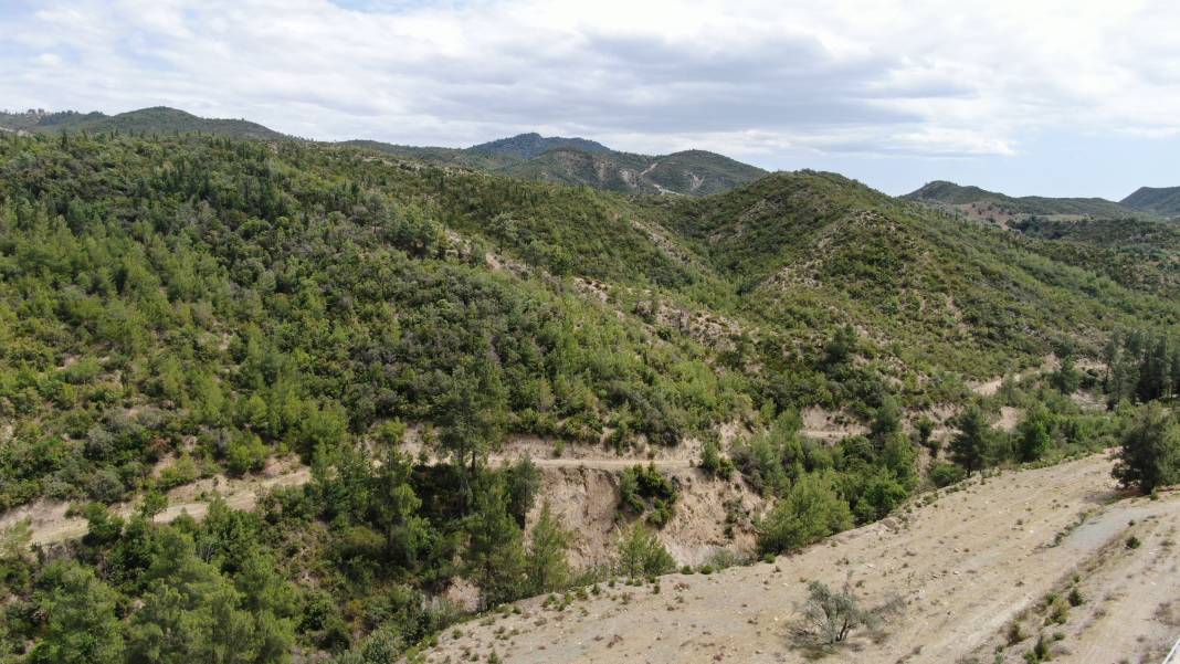 Antalya'da yanan ormanların son durumu yüzleri güldürdü 12