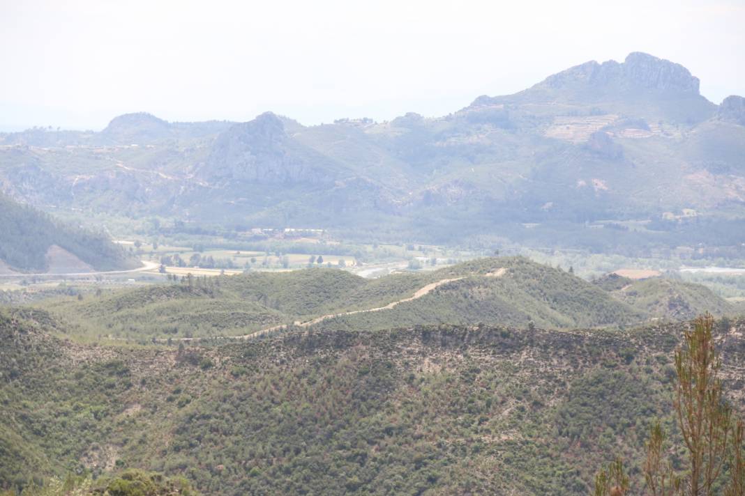 Antalya'da yanan ormanların son durumu yüzleri güldürdü 20