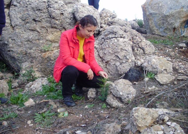 Antalya'da yanan ormanların son durumu yüzleri güldürdü 3
