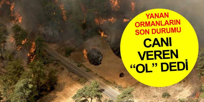 Antalya'da yanan ormanların son durumu yüzleri güldürdü