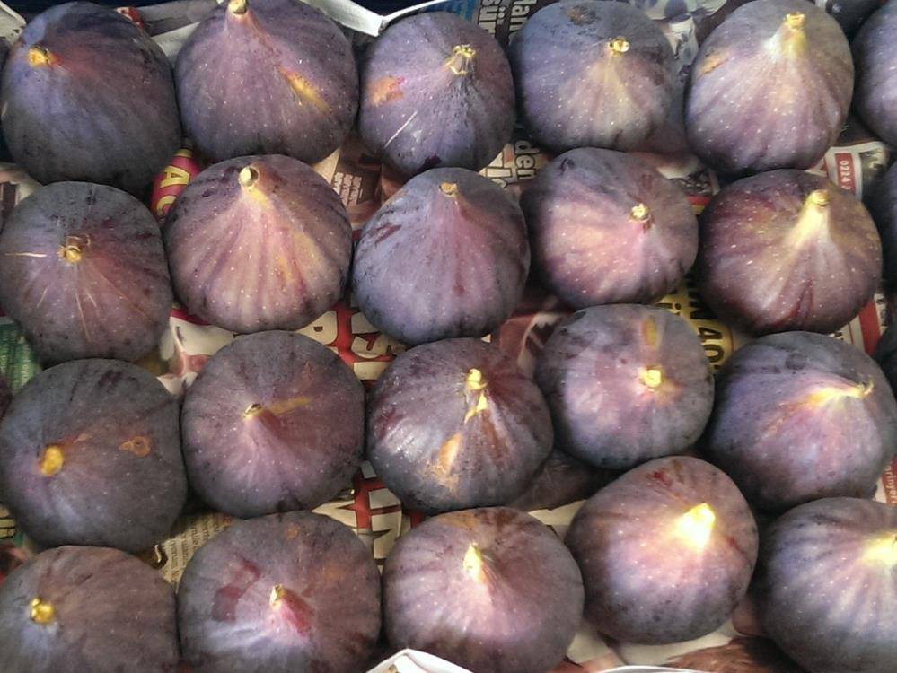 Günde 1 tanesi yetiyor! Taze incirin faydaları neler? 11