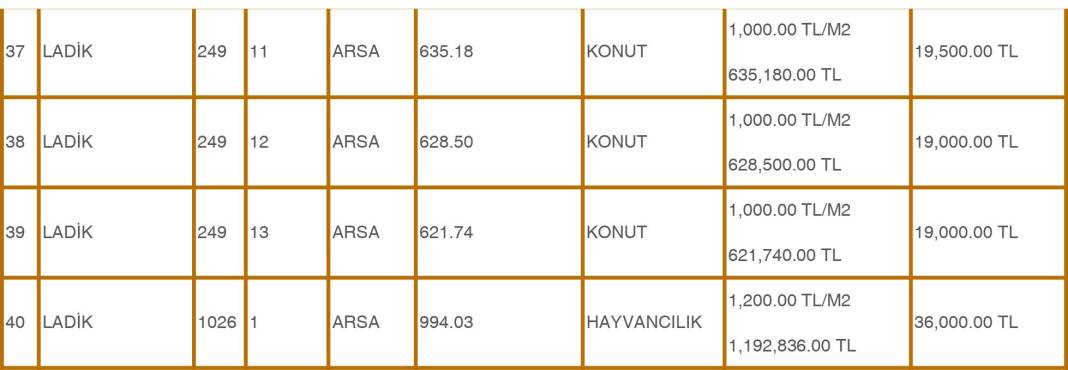Konya’da 500 Bin TL’ye Bahçeli Ev Fırsatı! 22 Ekim’de 51 Arsa Satışa Çıkıyor 8