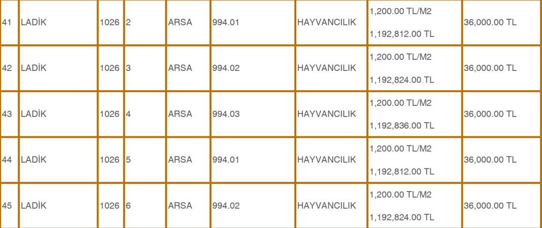 Konya’da 500 Bin TL’ye Bahçeli Ev Fırsatı! 22 Ekim’de 51 Arsa Satışa Çıkıyor 9