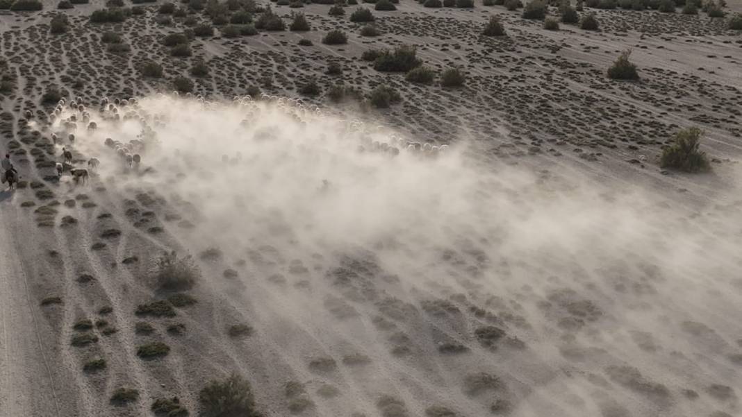 Konya'dan film sahnesi gibi görüntüler! Toz bulutunun içinden çıktılar 2