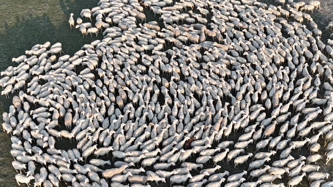 Konya'dan film sahnesi gibi görüntüler! Toz bulutunun içinden çıktılar 3