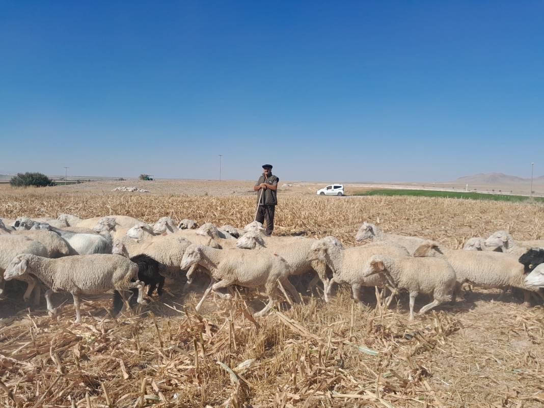 Konya'dan film sahnesi gibi görüntüler! Toz bulutunun içinden çıktılar 4