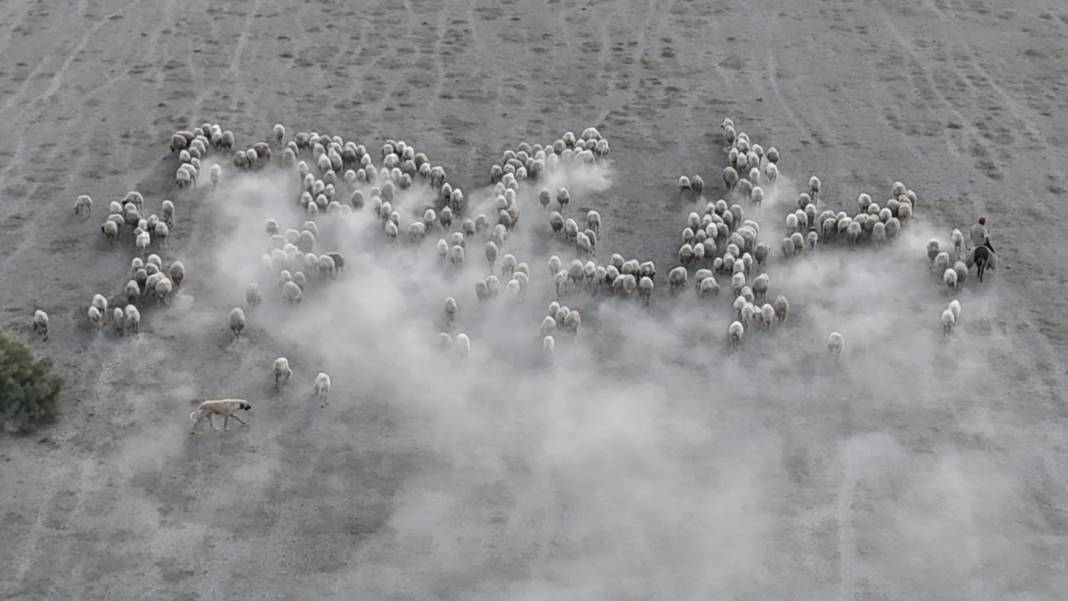 Konya'dan film sahnesi gibi görüntüler! Toz bulutunun içinden çıktılar 6