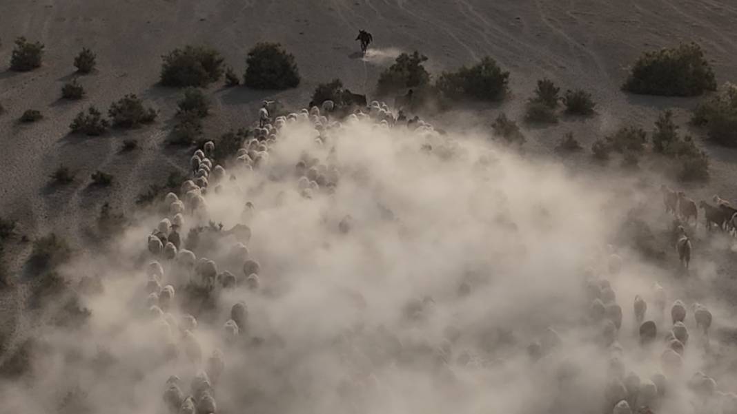 Konya'dan film sahnesi gibi görüntüler! Toz bulutunun içinden çıktılar 7