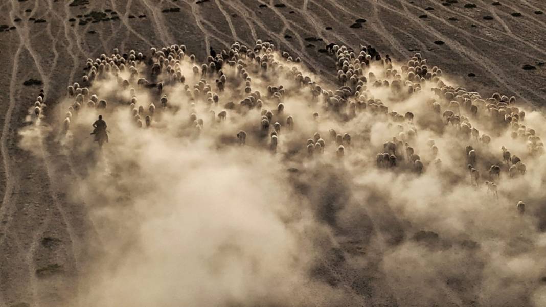 Konya'dan film sahnesi gibi görüntüler! Toz bulutunun içinden çıktılar 8