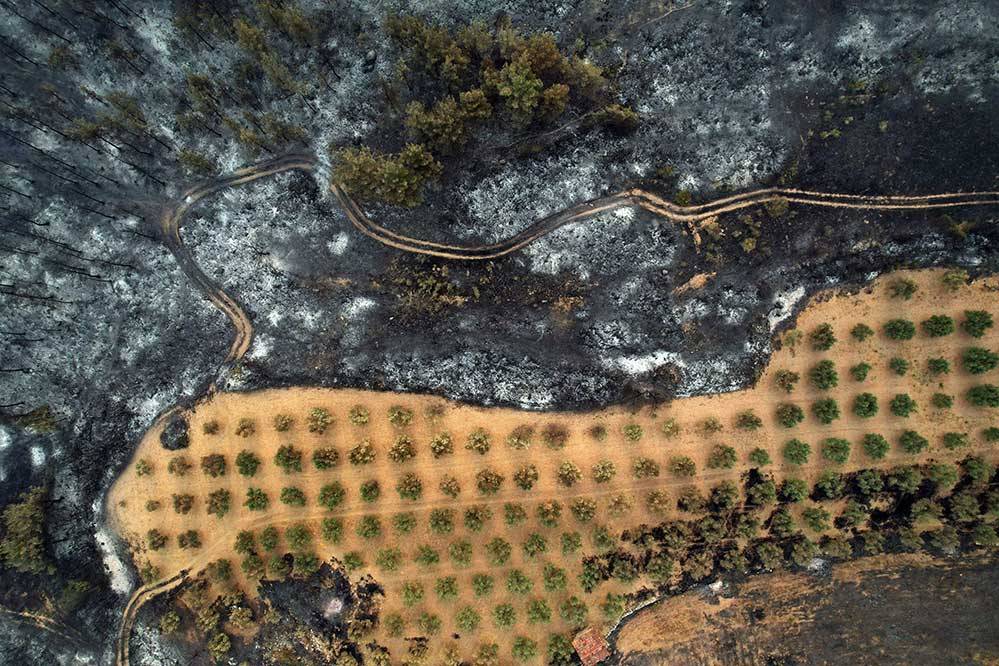 2025’in Hafızası Fotoğraflarla Yazıldı 46