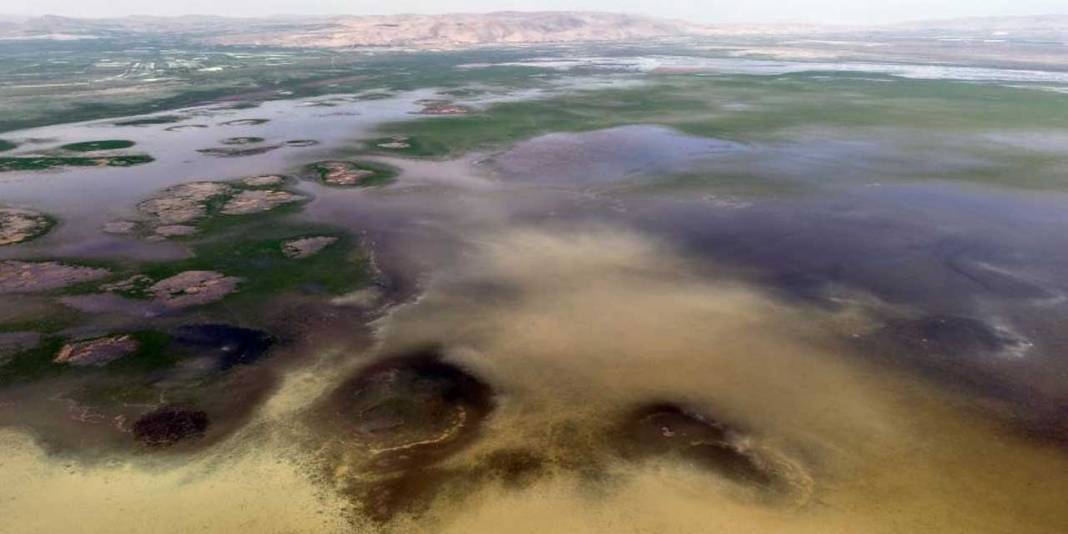 Sevindiren görüntü! Nasreddin Hoca'nın yüzü gülecek 1