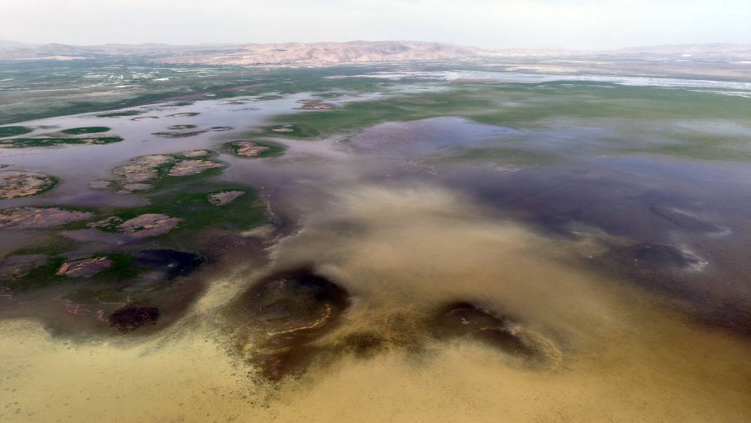 Sevindiren görüntü! Nasreddin Hoca'nın yüzü gülecek 2