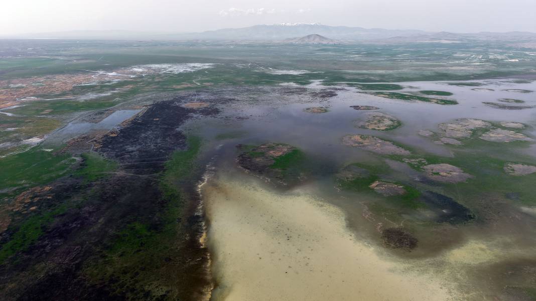 Sevindiren görüntü! Nasreddin Hoca'nın yüzü gülecek 3