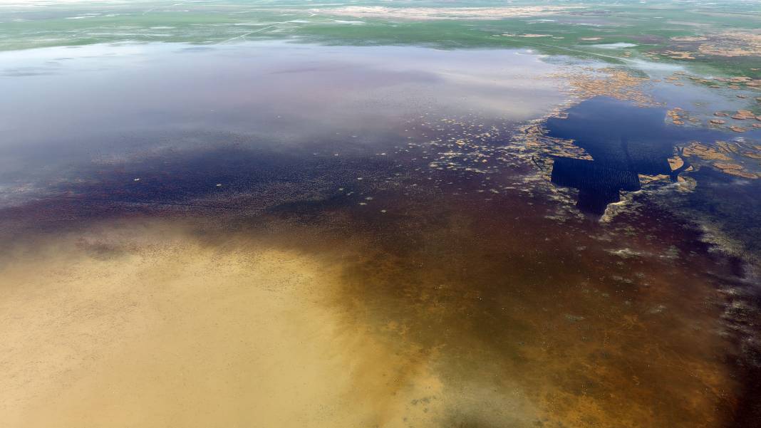 Sevindiren görüntü! Nasreddin Hoca'nın yüzü gülecek 7
