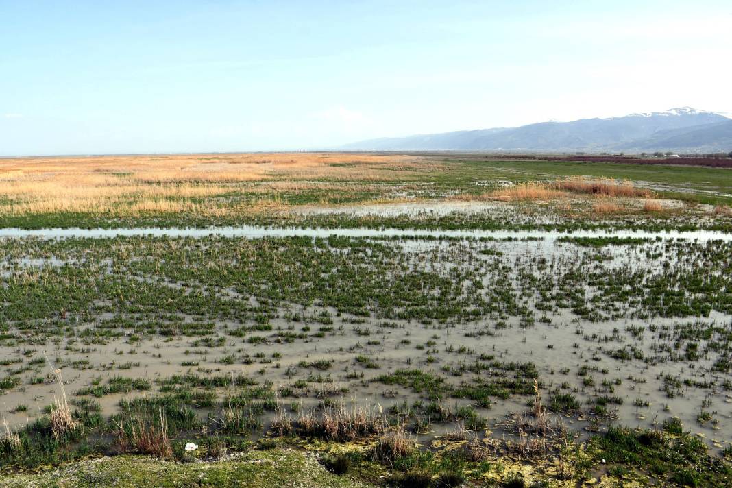 Sevindiren görüntü! Nasreddin Hoca'nın yüzü gülecek 8
