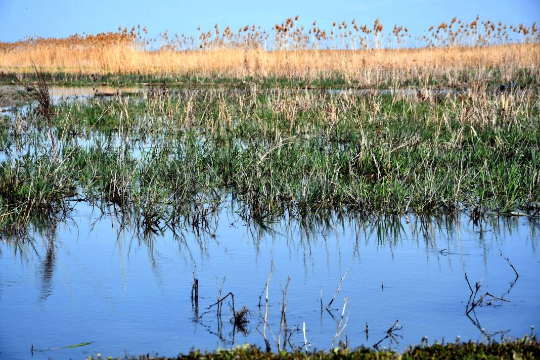 Sevindiren görüntü! Nasreddin Hoca'nın yüzü gülecek 9