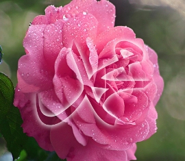 Mutluluğun saklı olduğu 30 ayet! 