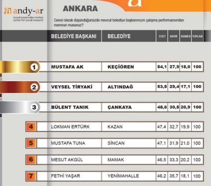 2012 Ocak- Yerel yönetimler araştırması 10