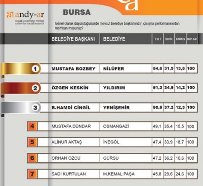 2012 Ocak- Yerel yönetimler araştırması 12