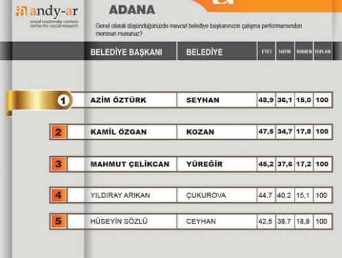 2012 Ocak- Yerel yönetimler araştırması 13