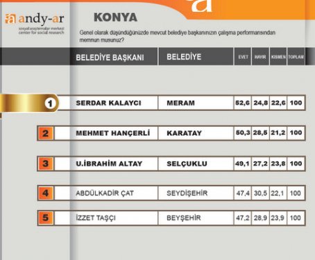 2012 Ocak- Yerel yönetimler araştırması 14