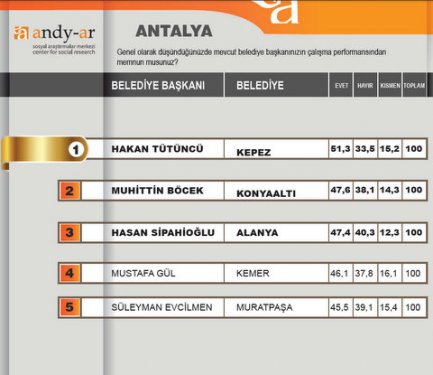 2012 Ocak- Yerel yönetimler araştırması 15