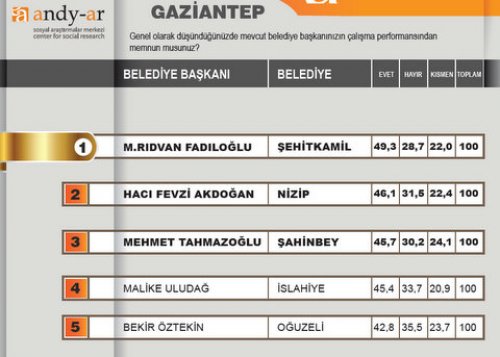 2012 Ocak- Yerel yönetimler araştırması 16