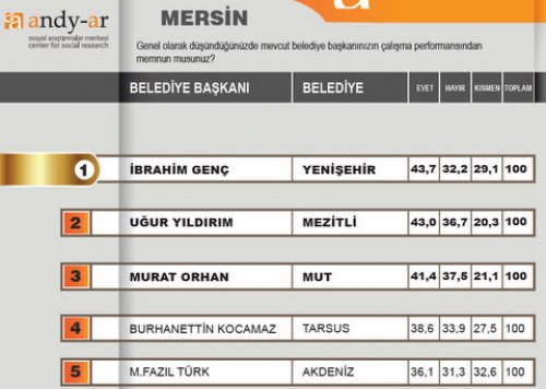 2012 Ocak- Yerel yönetimler araştırması 17