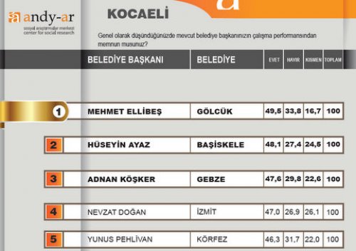 2012 Ocak- Yerel yönetimler araştırması 18