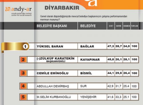 2012 Ocak- Yerel yönetimler araştırması 19