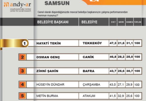 2012 Ocak- Yerel yönetimler araştırması 20