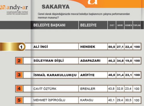 2012 Ocak- Yerel yönetimler araştırması 22