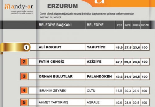2012 Ocak- Yerel yönetimler araştırması 23