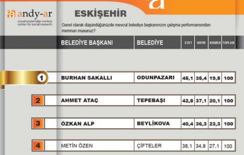 2012 Ocak- Yerel yönetimler araştırması 24