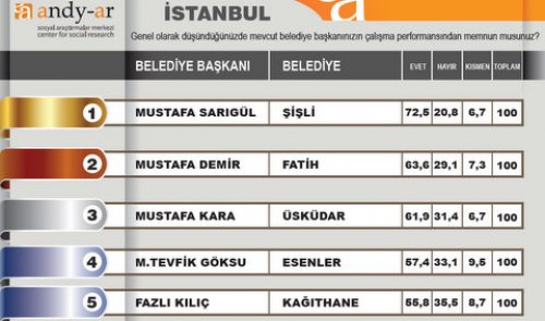 2012 Ocak- Yerel yönetimler araştırması 8