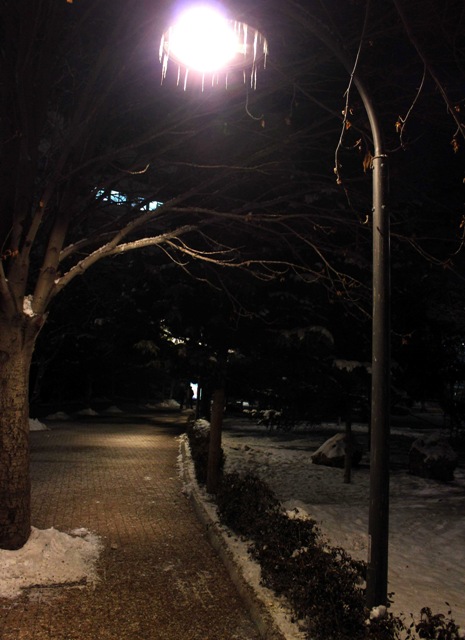 Termometreler -20 dereceyi gördü 1