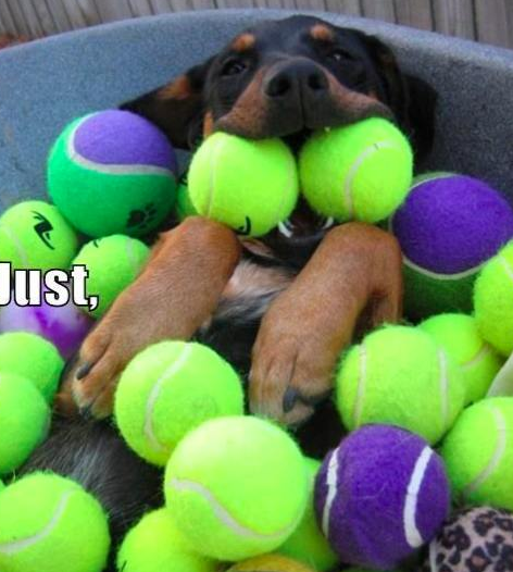 Günün tıklanma rekoru kıranları 14