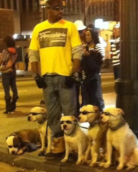 Günün tıklanma rekoru kıranları 16