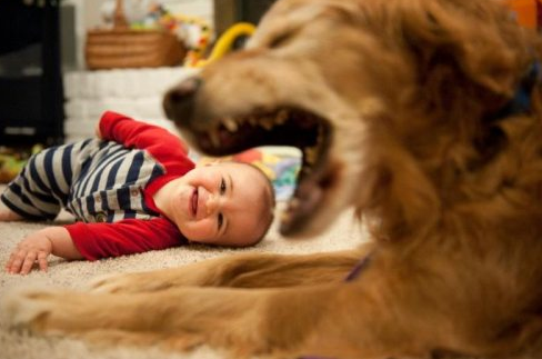 Günün tıklanma rekoru kıranları 2