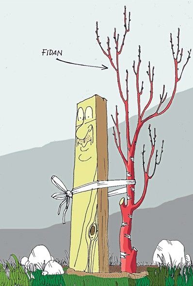 Mit krizi karikatürlerde 14