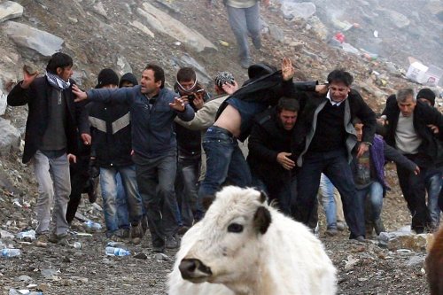 Yılın Basın Fotoğrafları belli oldu 3
