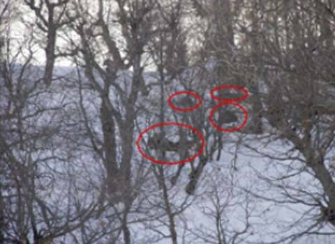 İşte o operasyonun görüntüleri! 24