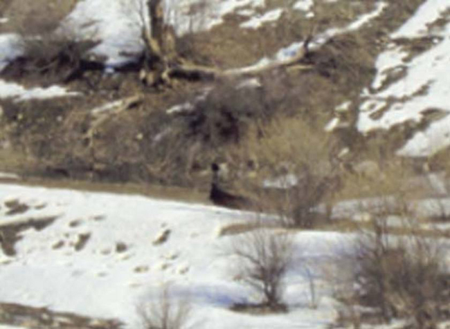 İşte o operasyonun görüntüleri! 28