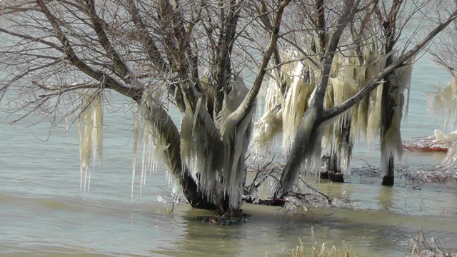 Pamukkale değil Beyşehir 12