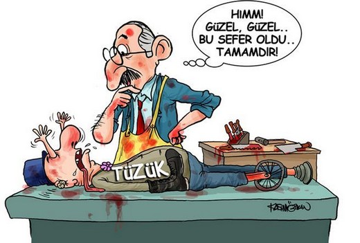 Günün karikatürleri 14