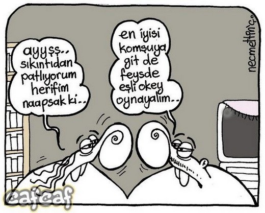 Günün karikatürleri 17