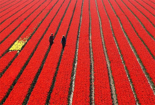 Bakmaya doyamayacağınız fotoğraflar 19