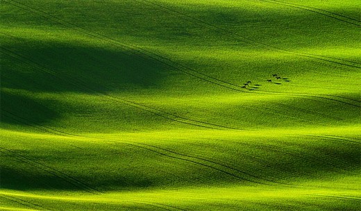 Bakmaya doyamayacağınız fotoğraflar 24