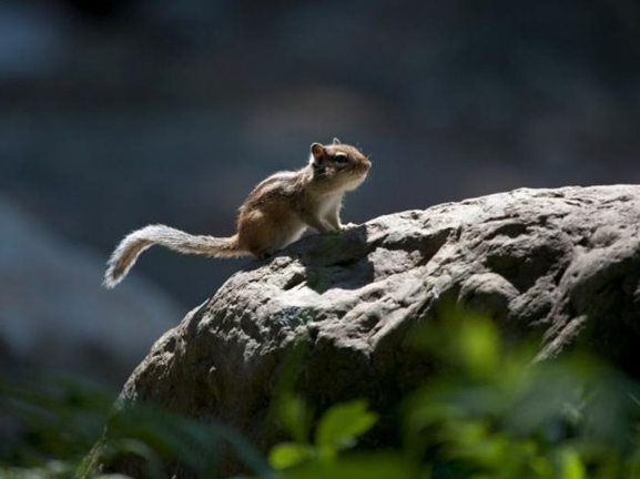 Şubat ayının en iyi fotoğrafları 14